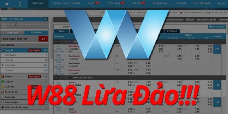 Đánh giá Ww88 lừa đảo hay không dựa vào 4 tiêu chí