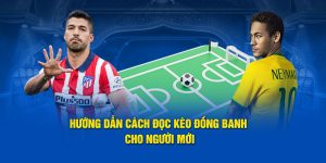 Tổng Hợp Thông Tin Về Cách Đọc Kèo Bóng Đá Tại WW88