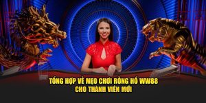 Tổng Hợp Về Mẹo Chơi Rồng Hổ WW88 Cho Thành Viên Mới